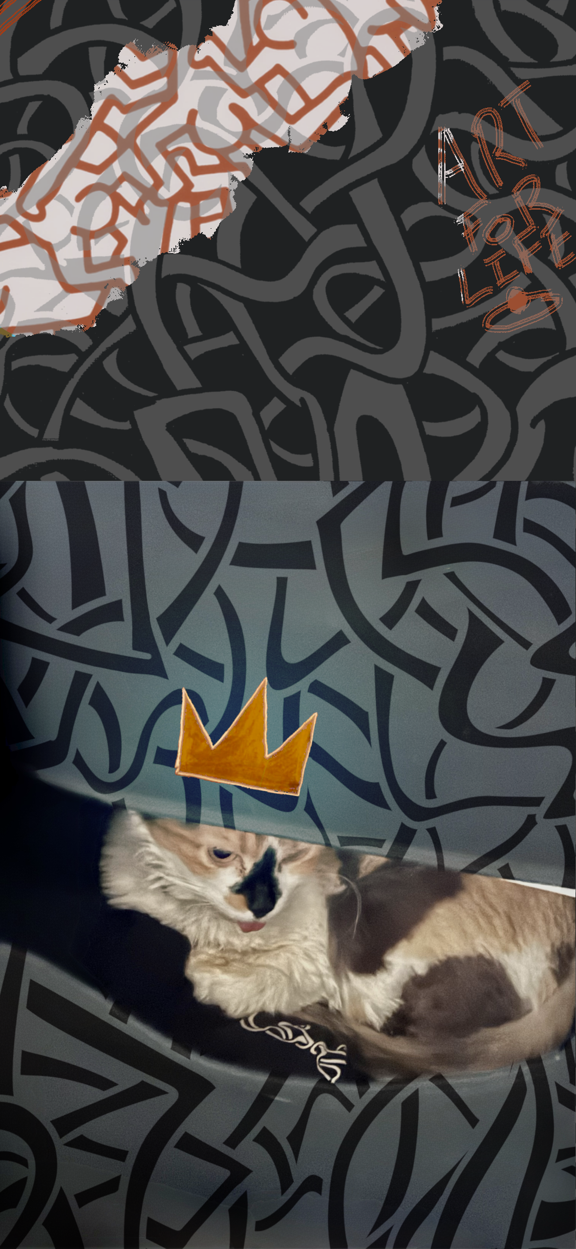 Crowned Cat Resting