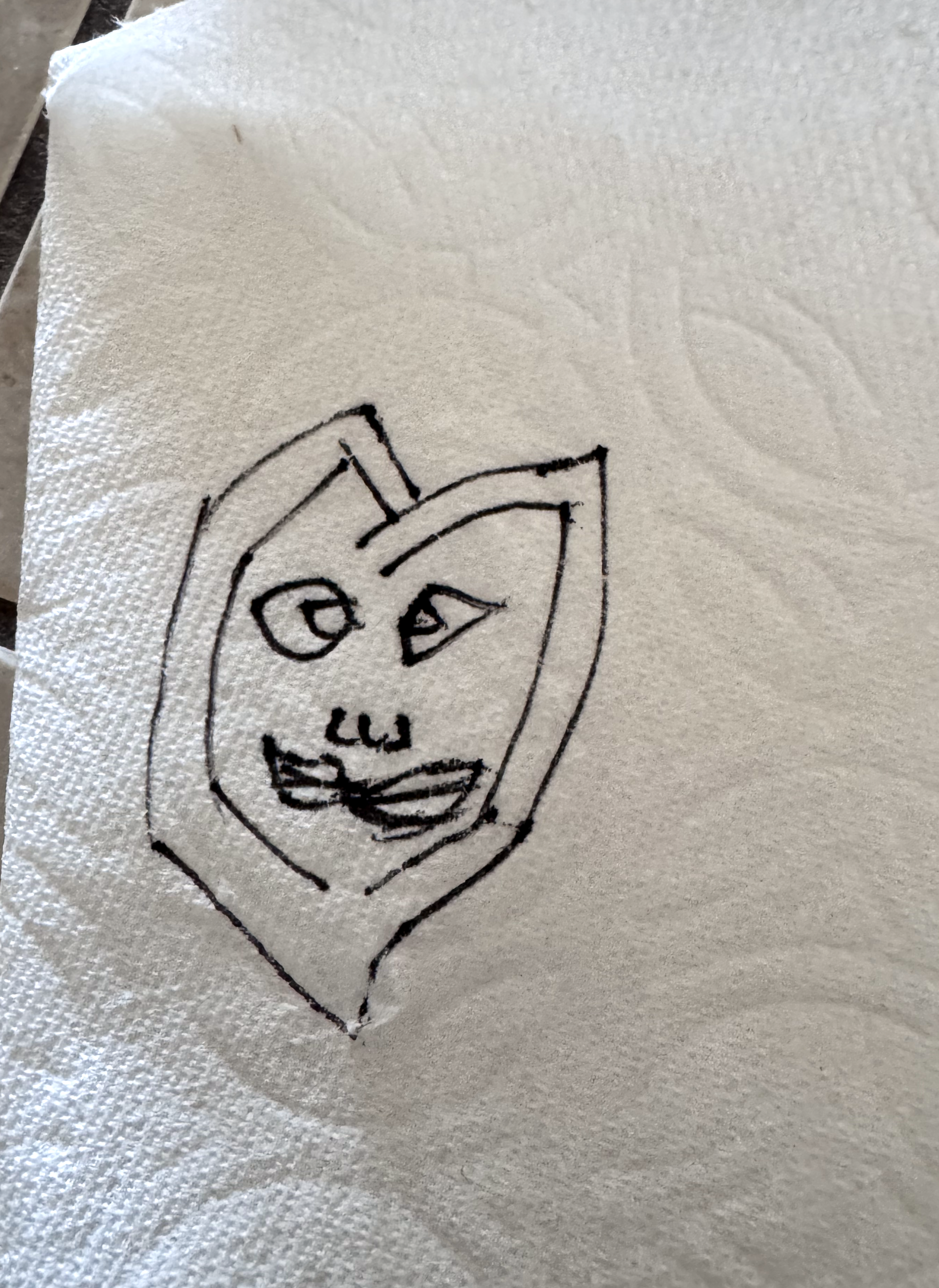 Paper Towel Face