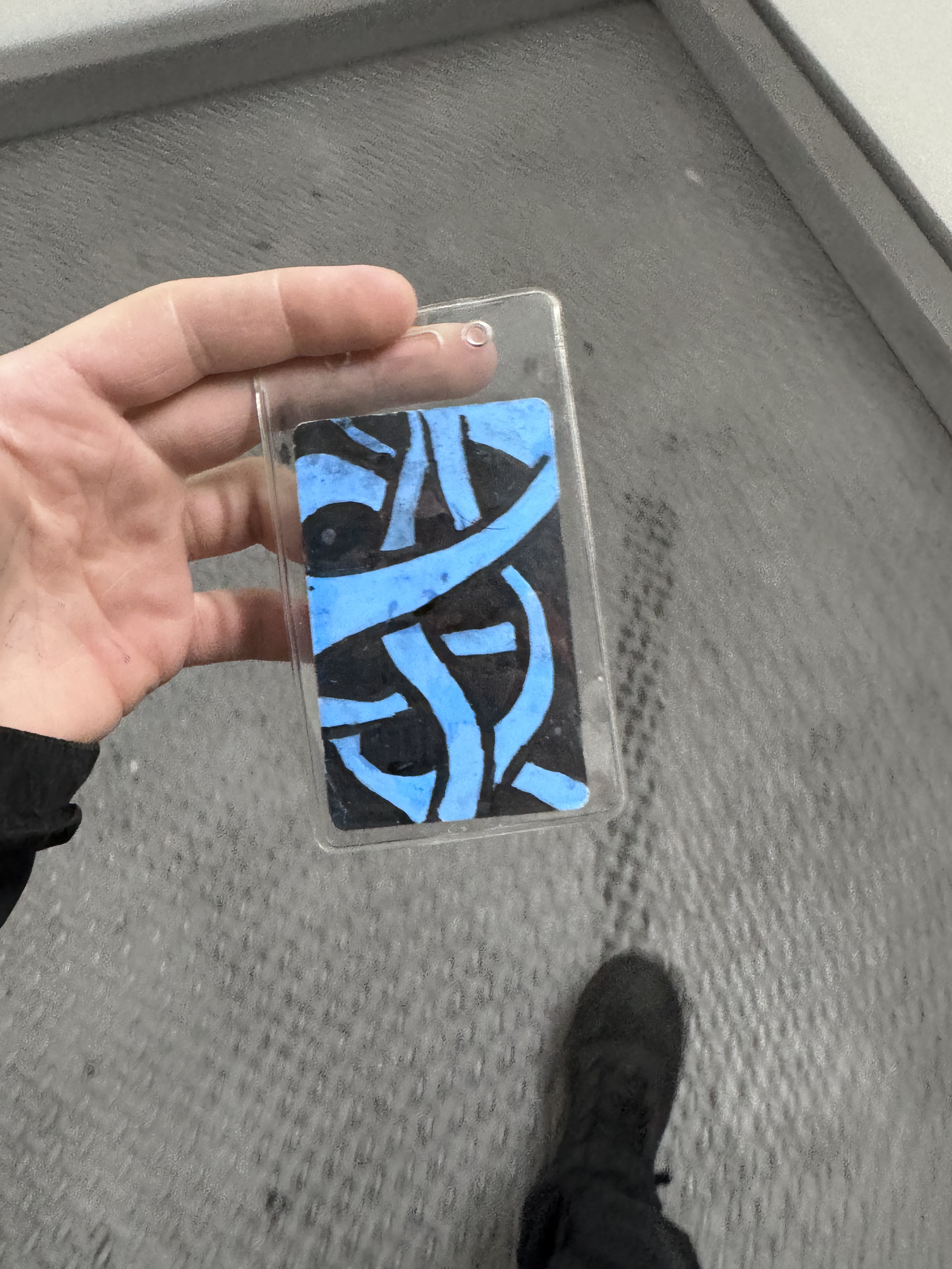 Blue Tag Sleeved