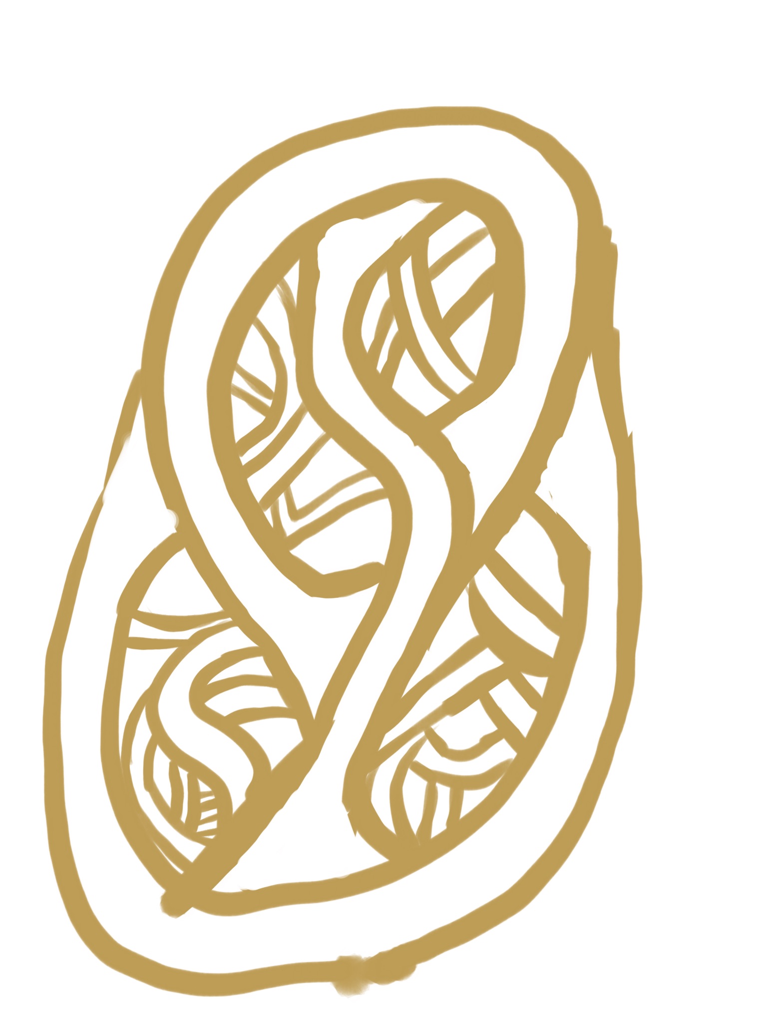 Gold Loop Turning