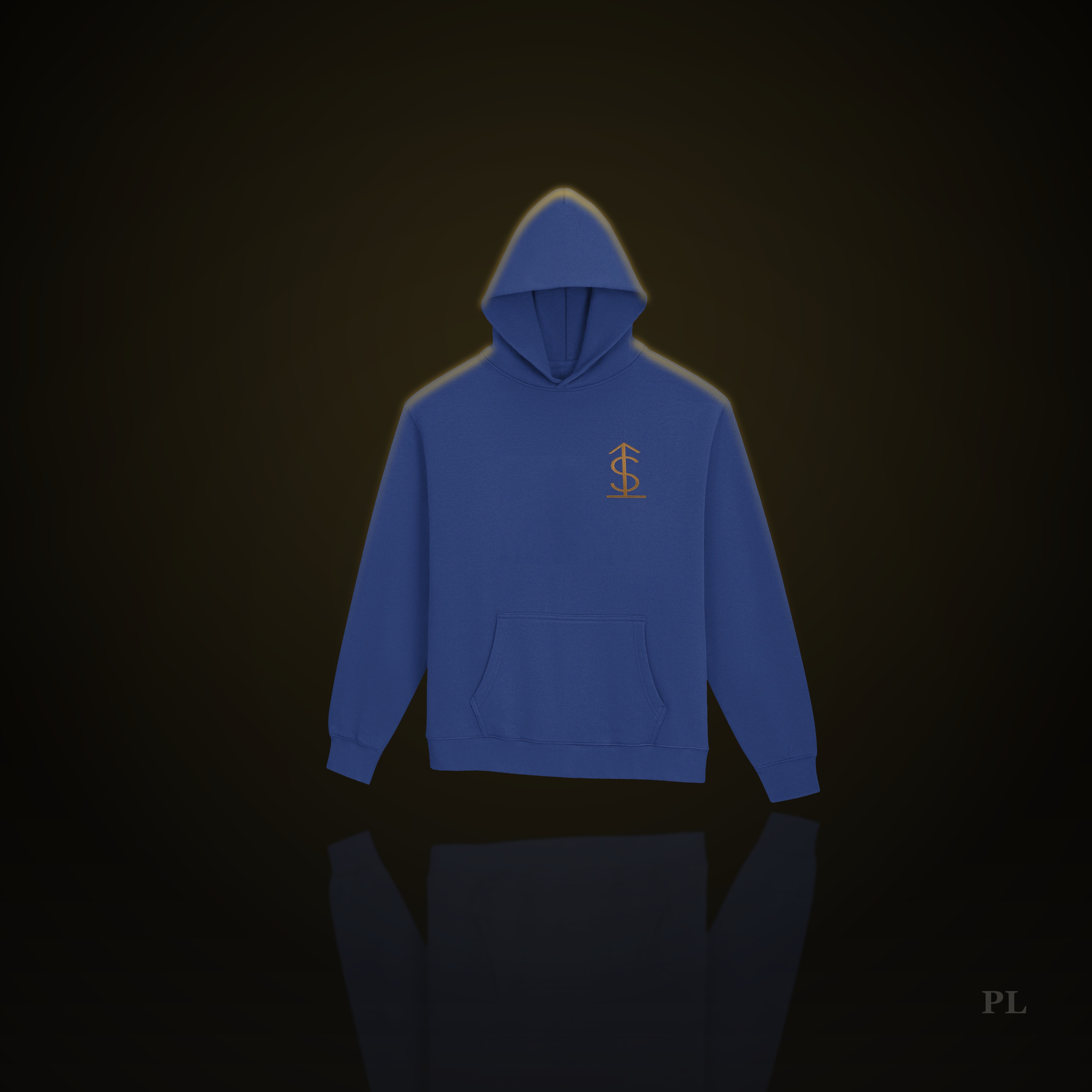 MONEY GLYPH HOODIE — view 3