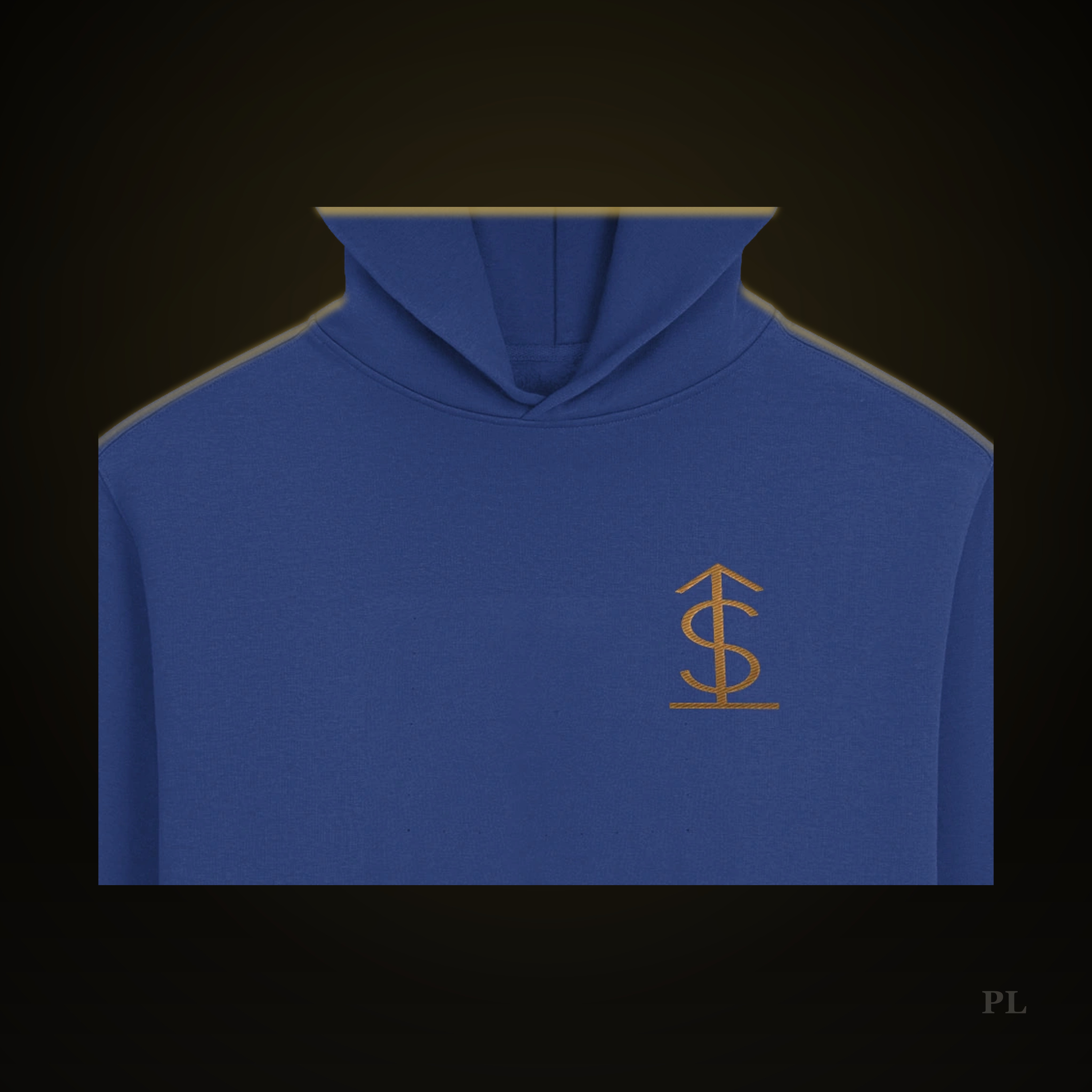 MONEY GLYPH HOODIE — view 4